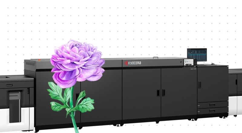 Schwarze Kyocera-Produktionsdruckmaschine mit Monitor; lila Blume im Vordergrund vor gepunktetem Hintergrund.