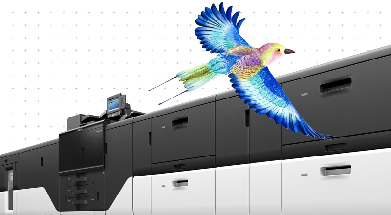 Gro&szlig;e Digitaldruckmaschine mit Bedienfeld; ein bunter Vogel fliegt heraus und symbolisiert hochwertigen Farbdruck.